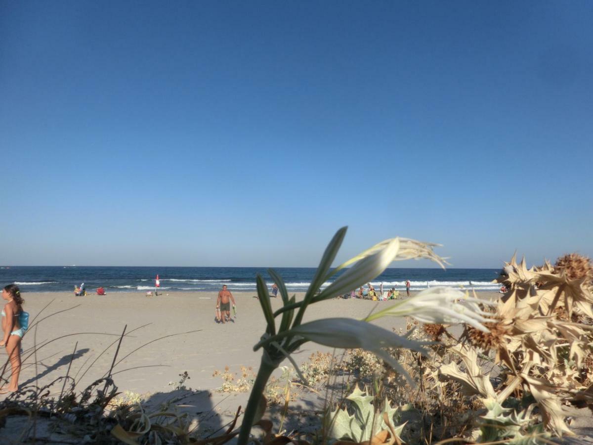 Apartamento La costa Est Tertenìa Exterior foto